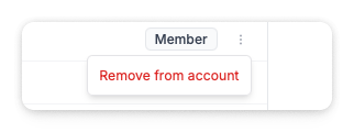 Three-dot menu next to a team member showing the Remove from account option